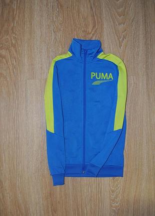 Олимпийка кофта на молнии,толстовка puma