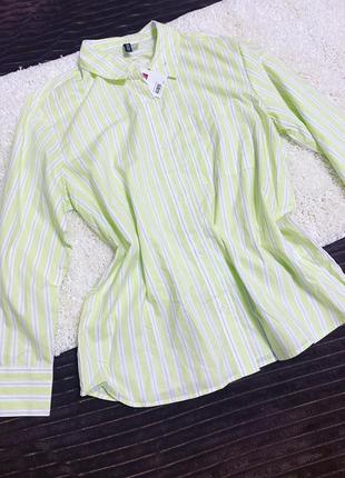 Рубашки h₴m