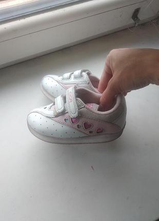Кроссовки cica