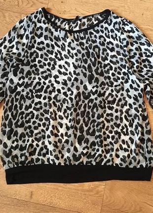 Красива шифонова блуза в леопардовий принт