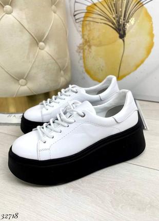 Кеді на платформі