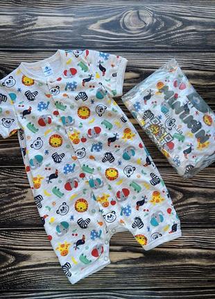 Пісочник україна