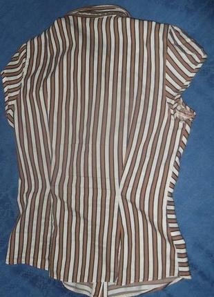 Блуза в коричневую полоску3 фото