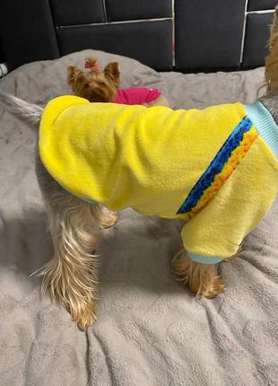 Одяг для тварин, одяг для тварин, худі