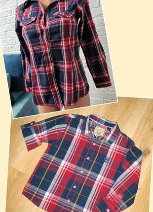 Сімейний лук, family look