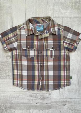 Стильная рубашка с коротким рукавом на мальчика