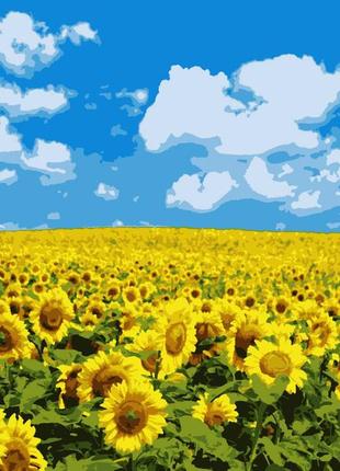 Картина по номерах арс номерам соняшникове поле поле соняхів подсолнухи