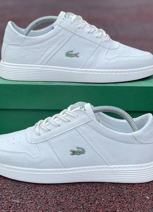 Мужские демисезонные спортивные кроссовки graduate lacoste