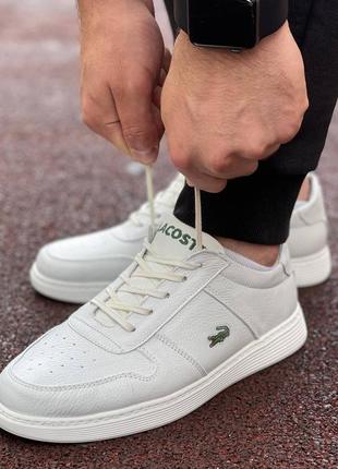 Кросівки чоловічі кросівки lacoste чоловічі лакосте