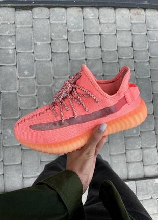 Жіночі кросівки adidas yeezy 350 coral reflective