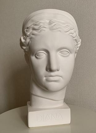 Гипсовый бюст diana