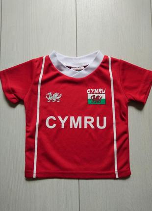Спортивна футболка cymru