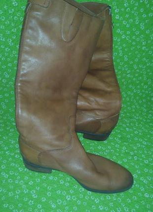 Чоботи шкіра 5