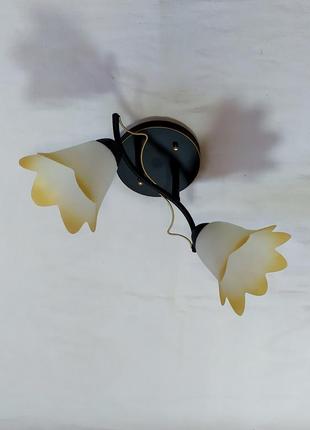 Люстра на 2 плафона