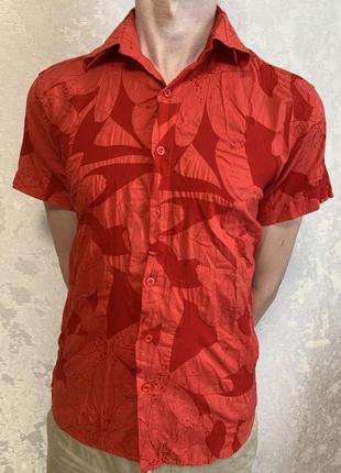 Пляжна шведка red back