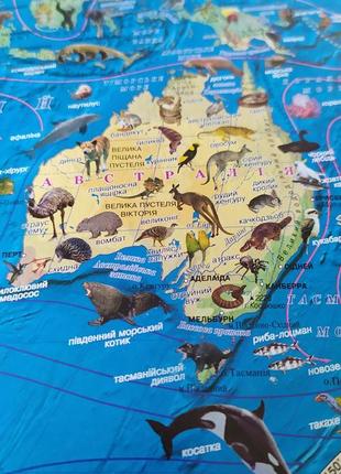 Физическая карта мира, животные, материки, океаны.3 фото