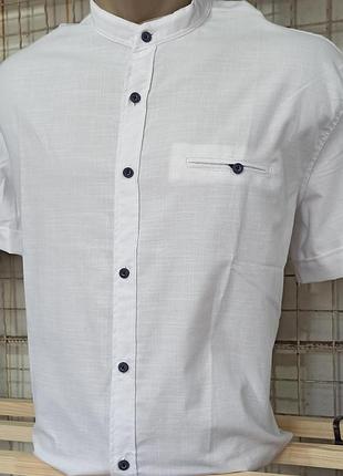 Стильні, легкі, приталені теніски, воріт стійка, відмінної якості