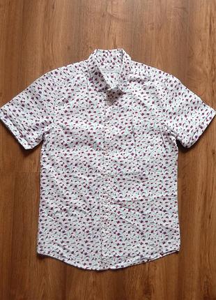 Рубашка cedarwood state