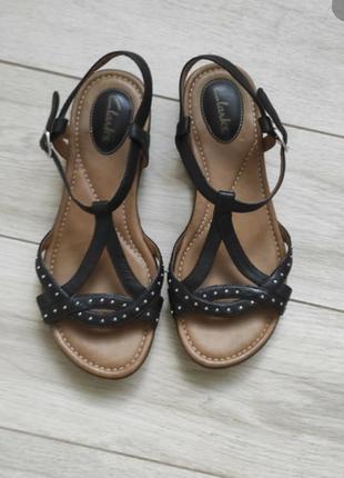 Блсоніжки clark’s