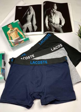 Мужские трусы lacoste комплект из 3 штук набор мужского белья6 фото