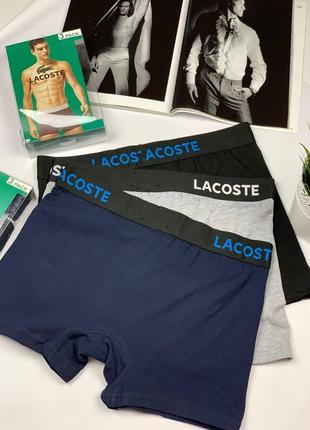 Мужские трусы lacoste комплект из 3 штук набор мужского белья2 фото