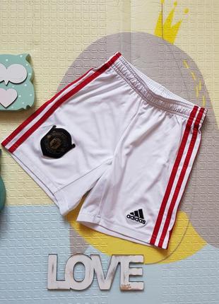 Шорты adidas адидас на мальчика 7-8 лет2 фото