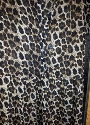 Плаття леопард міді шифон3 фото
