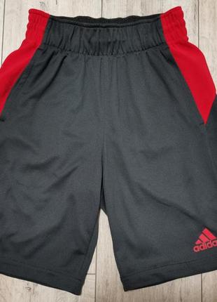 Adidas мужские шорты