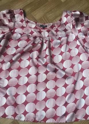 Блуза великий розмір