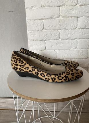 Леопардові туфлі з шкіри поні, туфлі на невисокій платформі, туфлі леопардові 37р portfolio від marks&spencer