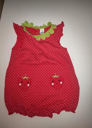 Пісочник вайкікі 12-18м