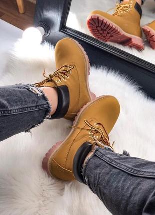 Ботінки жіночі timberland ginger

/ женские ботинки тимберланд4 фото