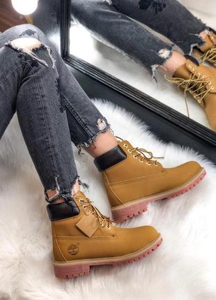 Ботінки жіночі timberland ginger / жіночі черевики тімберланд