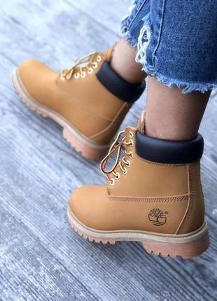 Ботінки жіночі timberland ginger 2 / жіночі черевики тімберланд