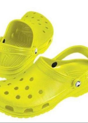 Crocs1 фото