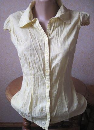 Блуза, сорочка