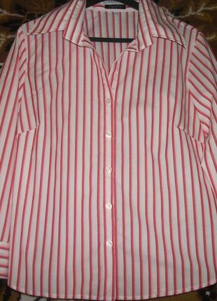 Блуза в червону смужку barisal