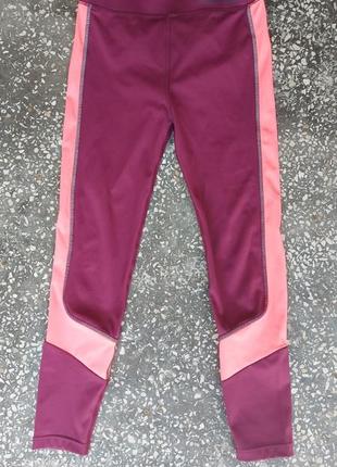 Легінси лосіни