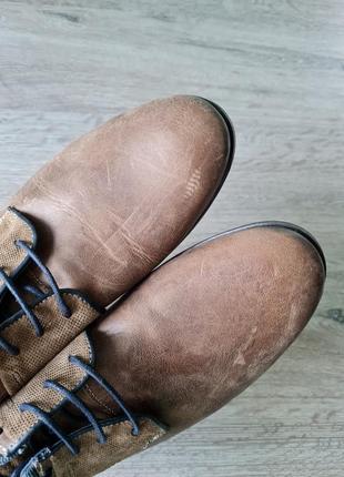 Туфлі броги чоловічі шкіряні san marina6 фото