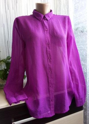 Жіноча сорочка кольору magenta2 фото