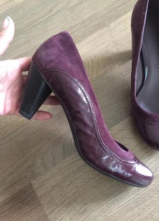 Туфлі clarks