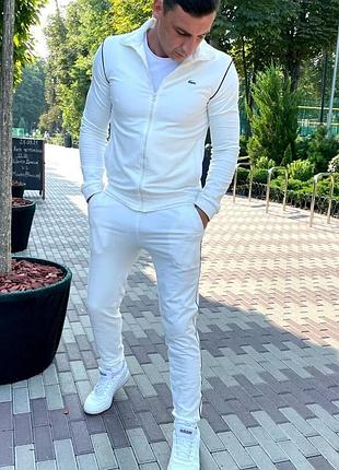 Мужской спортивный трикотажный костюм lacoste