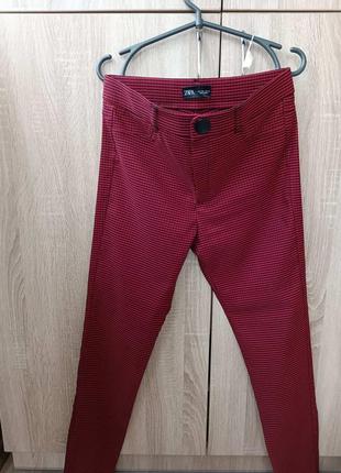 Легінси zara