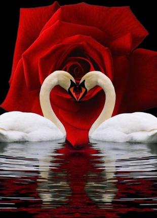 Алмазная мозаика colorart 40х50 лебеди и розы sp006