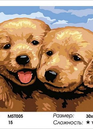 Набор для рисования по номерам colorart милые собачки 30x40 mst005 с подрамником
