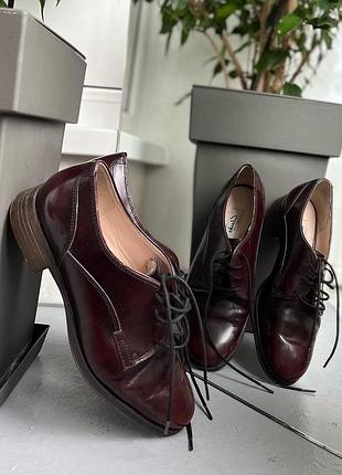 Темно-бордові туфлі clarks