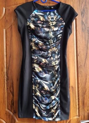 Сукня ted baker