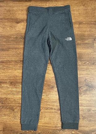 Спортивні штани the north face