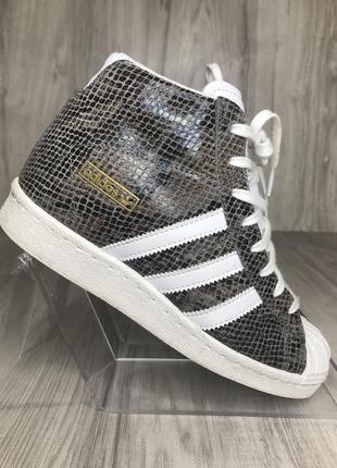 Кросівки adidas b32963 жіночі