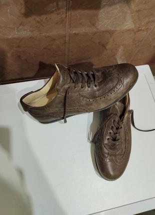 Шкіряні туфлі на шнурках кросівки lloyd оксфорди броги мокасини кеди